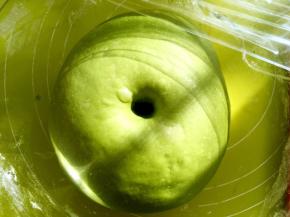 发酵好的面团手指按下去有个圆圆的洞，不回弹