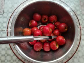 用去核神器去掉山楂果核