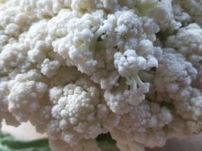 有机花菜一棵。