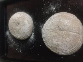 冷藏发酵17小时或者隔夜 回温到室温  烤箱预热200度 面团倒在烤盘上  割口 入烤箱 35分钟