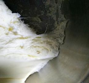 发至两倍大，呈蜂窝状取出面团排气