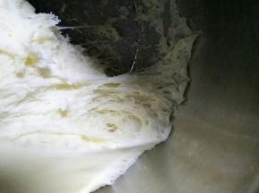 发至两倍大，呈蜂窝状取出面团排气