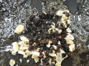 倒入豆豉碎，小火慢慢翻炒出豉香。