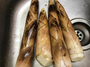 把买回来的笋洗净。