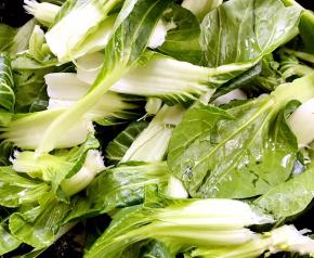 将白菜摘洗干净，用手撕成自己喜欢的形状