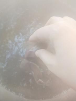 烧开水，加两勺料酒，下鸡肝，煮沸，撇去浮沫。