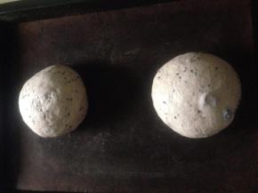 再次排气整形 放到烤盘上 二次发酵