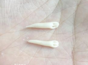 然后取出一点点面团搓成长柱形，用牙签压出爪印，这个爪子的重量约0.5克左右
