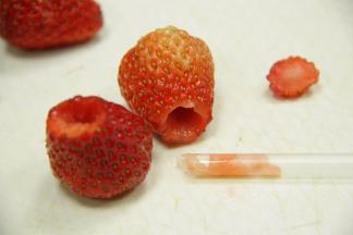 用吸管当工具，把草莓中心挖空。（不要挖到底部哦）