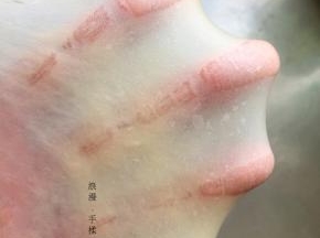 我是手揉的，，20分钟出膜。厨师机揉出膜更快