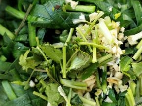香菜。