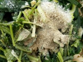 加白胡椒粉。