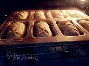 处理好的面团连同模具送入预热好的烤箱，中层，上下火170℃，烘烤20分钟。