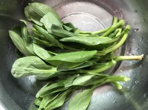 将青菜洗净