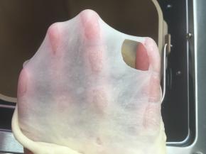 揉面程序结束后，切下一小块可以撑出手套膜，破口处呈现锯齿状态即可