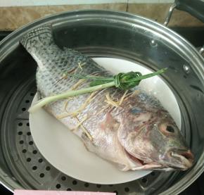 然后放到蒸锅里，在鱼身上放葱结。大火蒸8~10分钟。