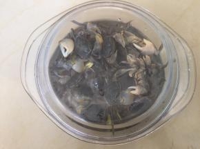 盖上盖子放冰箱冷藏，第二天食用