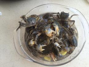 放入活蟹（有点残忍哦）