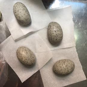 揉好的黑芝麻面团分出4份45克的面团，揉成椭圆形，放在油纸上，加盖保鲜膜防止风干，剩余的黑芝麻面团将用来做龙猫的耳朵和手