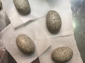 揉好的黑芝麻面团分出4份45克的面团，揉成椭圆形，放在油纸上，加盖保鲜膜防止风干，剩余的黑芝麻面团将用来做龙猫的耳朵和手