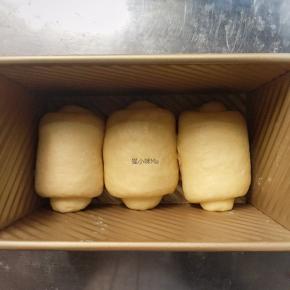 卷号的面团放入吐司盒中