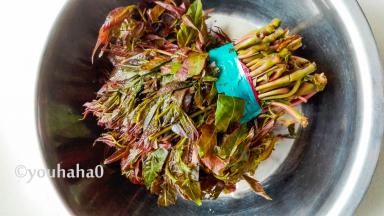 新鲜的香椿芽，香味扑鼻