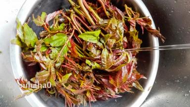香椿芽清水中稍加浸泡、再冲洗干净，搭在网架或其他工具上晾干水分，水务必要晾干，腌渍菜不能带生水，否则易腐烂