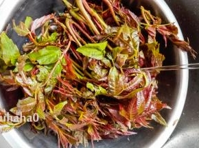 香椿芽清水中稍加浸泡、再冲洗干净，搭在网架或其他工具上晾干水分，水务必要晾干，腌渍菜不能带生水，否则易腐烂
