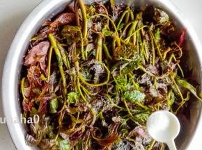 晾干的香椿芽放在干净的盆中，铺一层香椿芽撒一勺盐，一层一层摞压起来