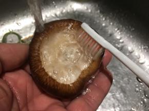 水下冲洗，以软毛刷清洁褶子里的脏污