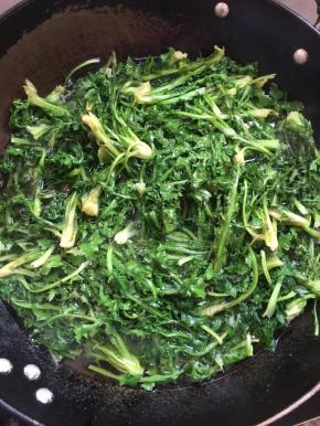 水烧开，加入一勺盐，适量的食用油，把野菜放进去焯水一分钟左右。（焯水的时候加入盐和食用油可以使野菜颜色碧绿，还能让野菜更加的软和好吃哦！）