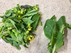 有烂叶取出，洗净备用