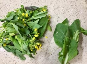 有烂叶取出，洗净备用