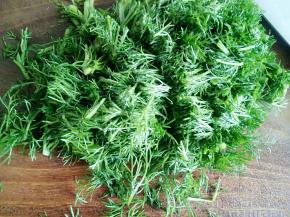 小茴香叶子切末