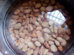 煮熟的蚕豆过一下凉水