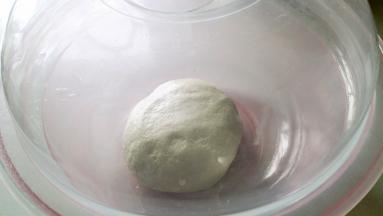 盖上锅盖进行发酵。