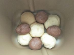 把四个可可小面团错开摆在白色面团旁，如图