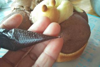 把黑巧克力装入裱花袋，放在温水中融化，剪一个小小的口