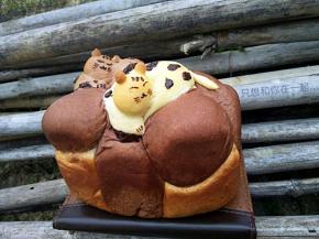 一转头，看到你幸福的笑脸，于是，我就幸福着你的幸福……