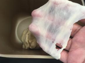 启动揉面程序，将面团揉至扩展阶段