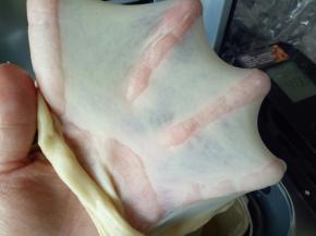 揉至面团可以拉出薄薄的膜，即手套膜