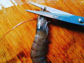 处理虾：先用剪刀剪掉须