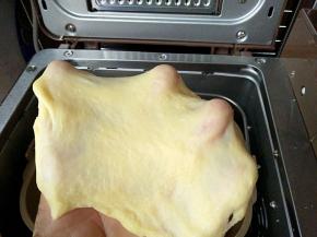 十分钟结束，面团已经呈扩展状态