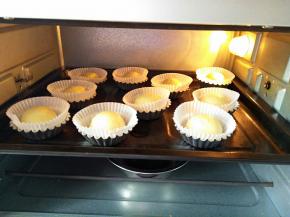 放进烤箱，底部放一碗热水，开烤箱发酵功能35度进行第二次发酵（也可以不开烤箱，关紧门也能发酵）