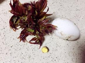 准备食材