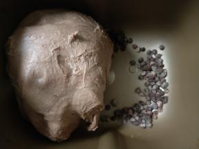 加入巧克力豆继续揉30秒，揉匀即可。