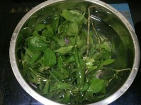 染色草洗干净，煮20~30分钟。