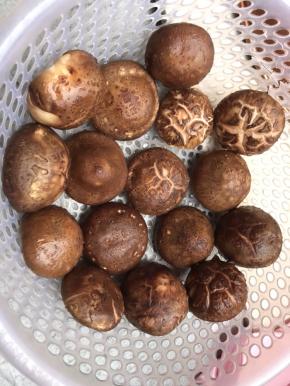 洗干净尽量晾开水份，这样后面填肉末时不容易掉出来