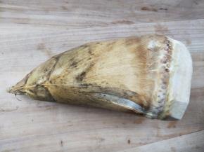 带着泥土气息的春笋一根。