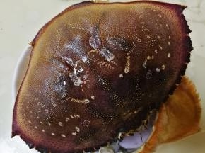 帝皇蟹洗干净，去内脏，把蟹壳取下来